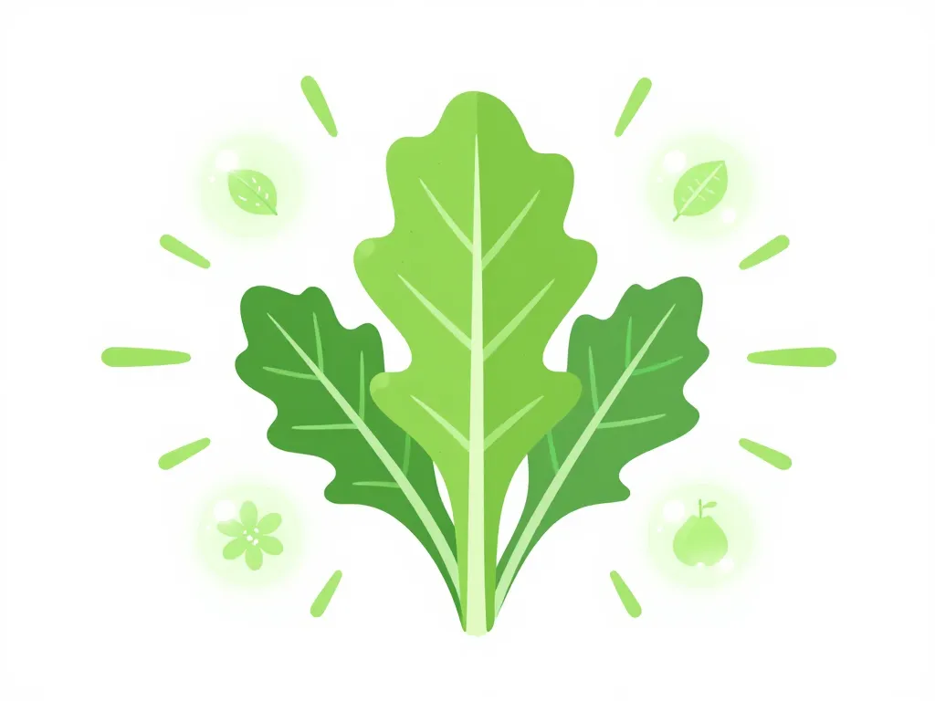 arugula nutriments illustration santé