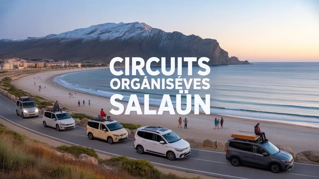 Illustration circuits organisés Salaün avec autocars et petits groupes