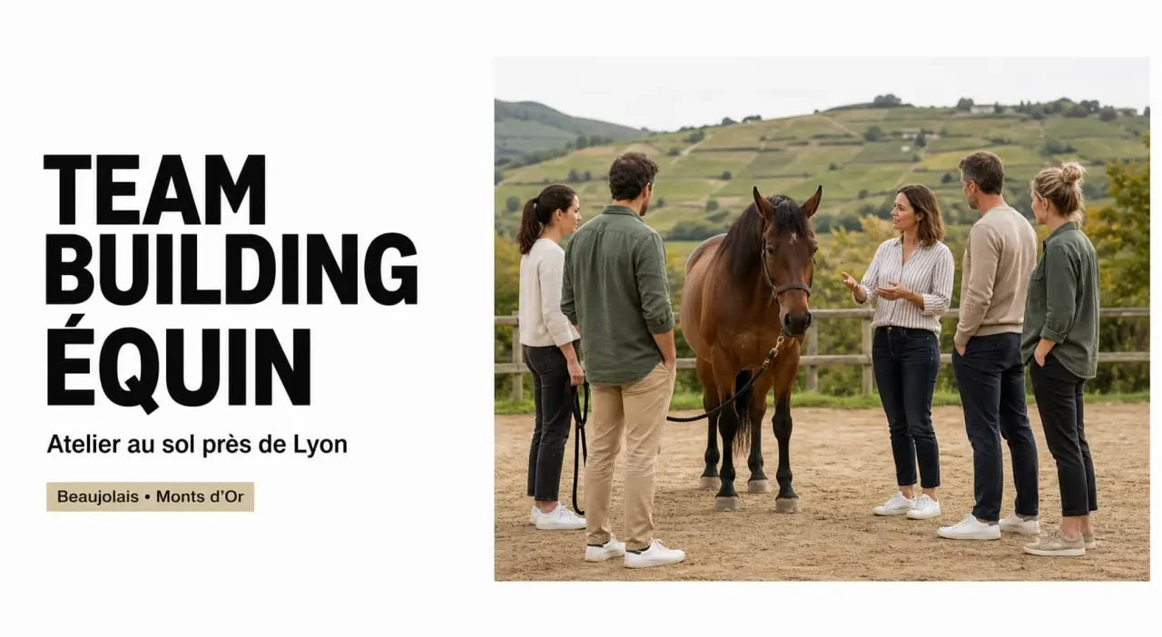 Team building cheval Lyon : atelier collectif avec un cheval dans un cadre naturel près de Lyon
